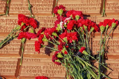 Dnipro, Ukrayna - 02.15.2022: 1979-1989 Afgan Savaşı gazilerinin anıtı anıtın granit levhasındaki kırmızı karanfiller.