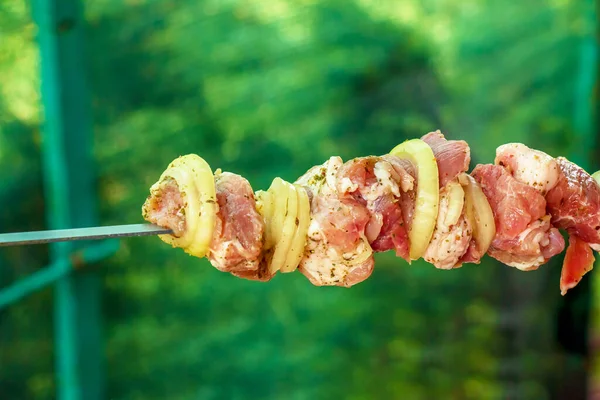 Raw Marinated Meat Onion Skewer Kebab Prepared Cooking Open Fire — Stock Photo, Image