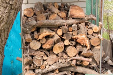 Yakacak odunları var. Yığınla odun kesmişler. Yığının içinde kurutulmuş odun. Dünya enerji krizi kavramı.