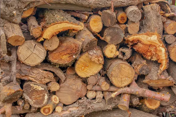 Firewood Background Chopped Firewood Stack Dry Chopped Firewood Pile Concept — Stock Photo, Image