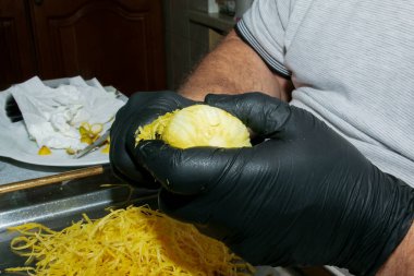 Limoncello 'yu evde hazırlama süreci. Siyah eldivenli erkek eller limonun tadını çıkarır..