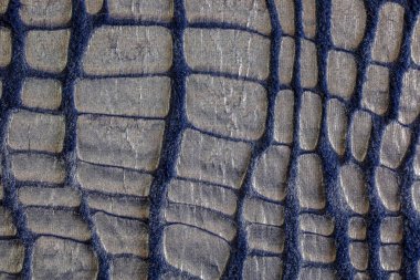 Kürk dokusu üst görünümü. Mavi kürk arka plan. Kürk deseni. Koyu mavi kürk deseni ve deseni.