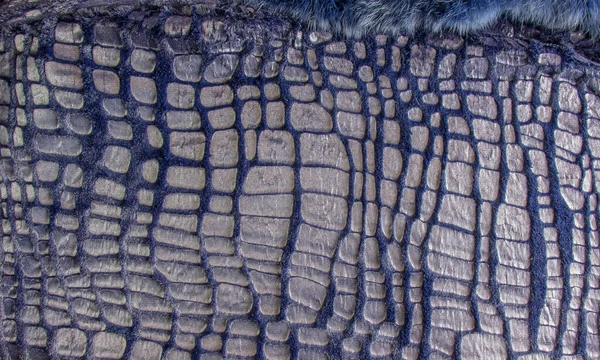 Fur纹理顶部视图 蓝色的毛皮背景 弗尔模式 带花纹深蓝色光滑毛皮的结构 — 图库照片