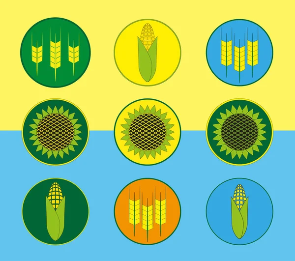 Wheat, corn and sunflower icons set. Illustration. Icons on the yellow-blue flag of Ukraine.