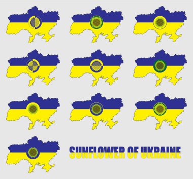 Ukrayna haritasında ulusal bayrağın renginde ayçiçeği simgeleri var. Ukrayna 'nın Ayçiçeği yazıtları. Görüntü.