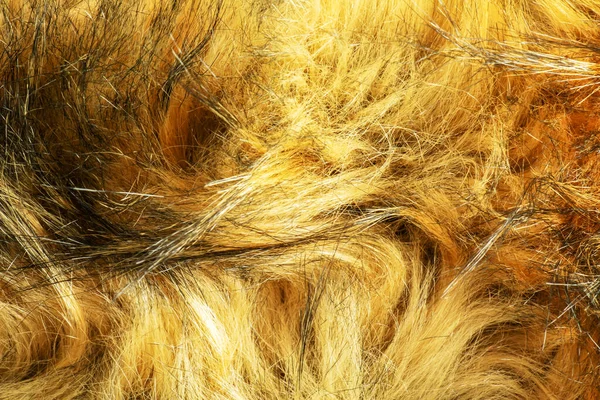 背景是黑褐色的皮毛动物狐狸毛皮质地 — 图库照片