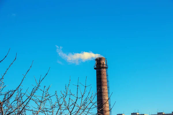 Fehér Sárga Füst Kazánház Kéményéből Kék Éggel Szemben Ökológia Energiaválság — Stock Fotó