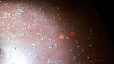 Geceleri bir sürü cüce ışığa uçuyor..