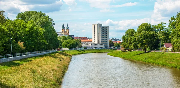 Nitra, Slovakya - 06.14.2022: Slovak şehri Nitra 'nın manzarası. Katolik şatosu ve Nitra nehri manzarası.