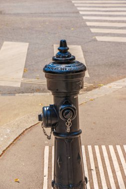 Viyana, Avusturya - 06.13.2022: Viyana 'da güneşli bir günde Retro yangın musluğu sütunu.