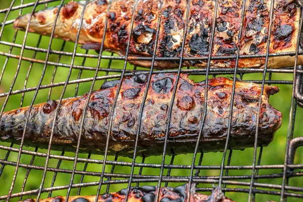 Izgaradaki salamurada uskumru balığı pişirme süreci. Kızarmış balık hazır..