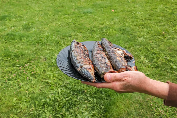 Proceso Cocción Pescado Caballa Una Marinada Parrilla Pescado Frito Está —  Fotos de Stock