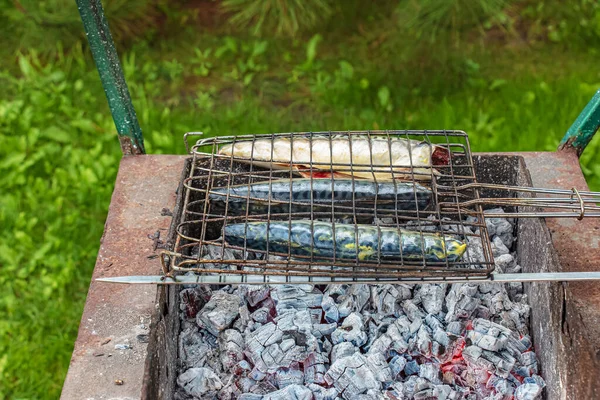 Process Cooking Mackerel Fish Marinade Grill Fish Fried Hot Coals — Stock Photo, Image