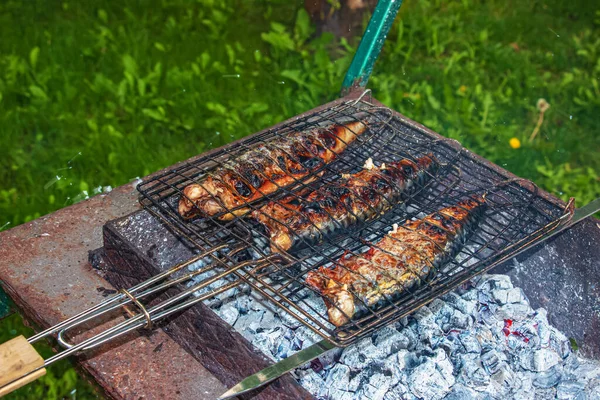 Process Cooking Mackerel Fish Marinade Grill Fish Fried Hot Coals — Stock Photo, Image