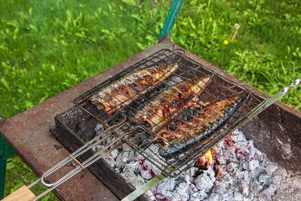 Process Cooking Mackerel Fish Marinade Grill Fish Fried Hot Coals — Foto Stock