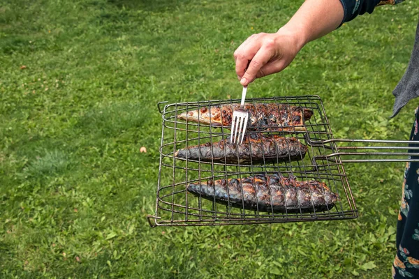 Process Cooking Mackerel Fish Marinade Grill Fried Fish Ready — Foto Stock