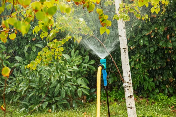 Automatic sprinkler system watering the lawn on a bakround of green grass. Close-up. Gardening and care.