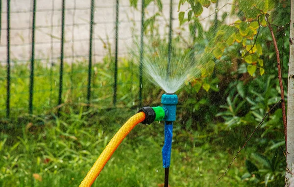 Automatic sprinkler system watering the lawn on a bakround of green grass. Close-up. Gardening and care.