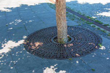 Metal drainage grate on the sidewalk around a tree in Slovakia.