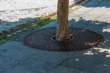 Metal drainage grate on the sidewalk around a tree in Slovakia.