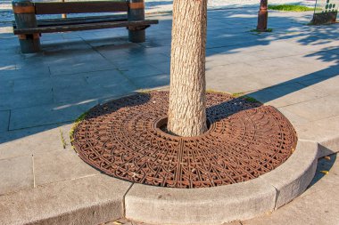 Metal drainage grate on the sidewalk around a tree in Slovakia.