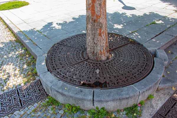 Metal Drainage Grate Sidewalk Tree Slovakia —  Fotos de Stock