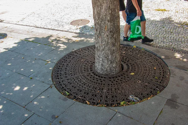 Metal Drainage Grate Sidewalk Tree Slovakia — Fotografia de Stock