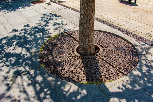 Metal Drainage Grate Sidewalk Tree Slovakia — Zdjęcie stockowe