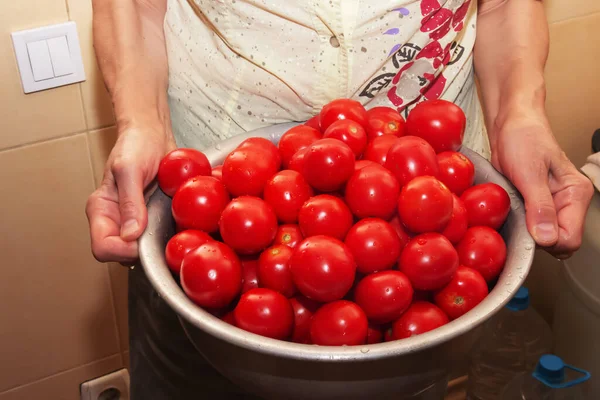 Woman Holds Bowl Ripe Red Freshly Washed Tomatoes Her Hands — Foto de Stock