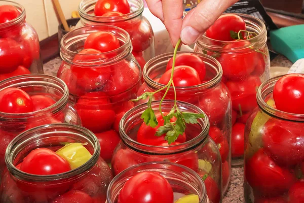 Process Preserving Tomatoes Winter Ripe Red Juicy Tomatoes Glass Jars — Photo