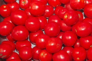Red ripe tomatoes as background, closeup. Food backgrounds concept
