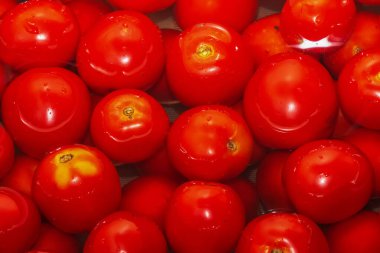 Red ripe tomatoes as background, closeup. Food backgrounds concept