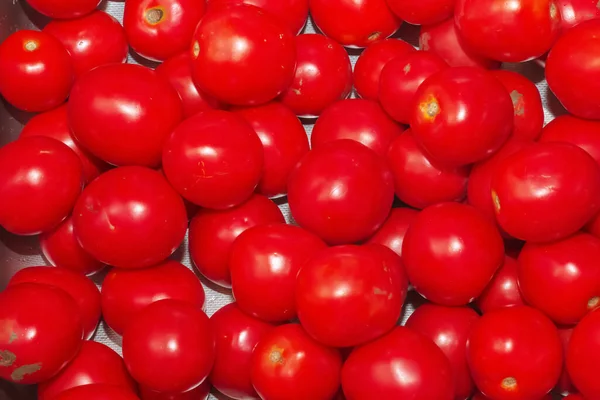 Red ripe tomatoes as background, closeup. Food backgrounds concept