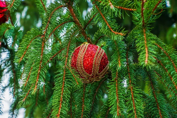 Bright Red Big Beautiful Ball Decoration Branches Christmas Tree Background — Stock fotografie