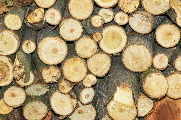 Winter Preparation Stacking Firewood Pile Firewood Loggs Firewood Background — Stock Photo, Image