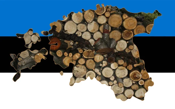 Mapa Esboço Estónia Com Imagem Bandeira Nacional Firewood Dentro Mapa — Fotografia de Stock