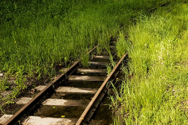 Spoorlijnen Zijn Overspoeld Met Water Begroeid Met Gras Verlaten Spoorweg — Stockfoto