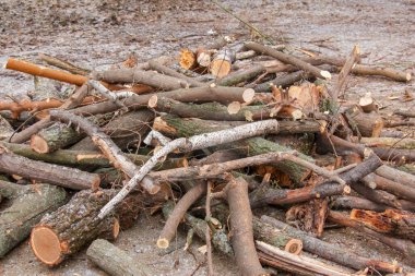 A pile of sawed firewood for heating in winter. Stockpile of firewood during the energy crisis
