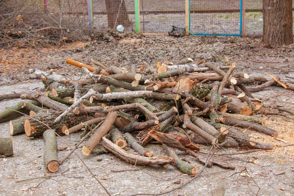 Pile Sawed Firewood Heating Winter Stockpile Firewood Energy Crisis — Fotografia de Stock