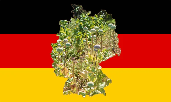 国旗をイメージしたドイツの概要地図 カードの中のケシのコブのイメージ コラージュ ドイツは主要なケシ生産国である — ストック写真