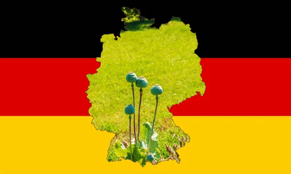 Mapa Contorno Alemanha Com Imagem Bandeira Nacional Imagem Espiga Papoula — Fotografia de Stock