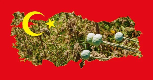 Mapa Contorno Turquia Com Imagem Bandeira Nacional Imagem Uma Espiga — Fotografia de Stock