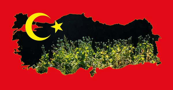 Карта Турции Изображением Национального Флага Изображение Початка Мака Внутри Карты — стоковое фото