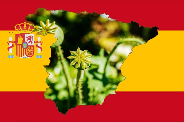 Mapa Contorno Espanha Com Imagem Bandeira Nacional Imagem Uma Espiga — Fotografia de Stock
