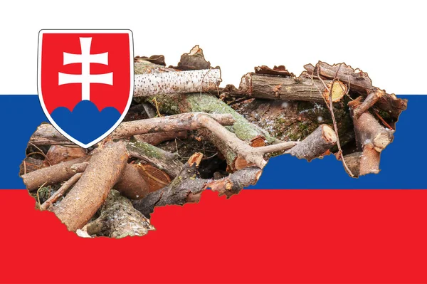 Szlovákia Körvonalazott Térképe Nemzeti Zászló Képével Tűzifa Térképen Kollázs Illusztráció — Stock Fotó