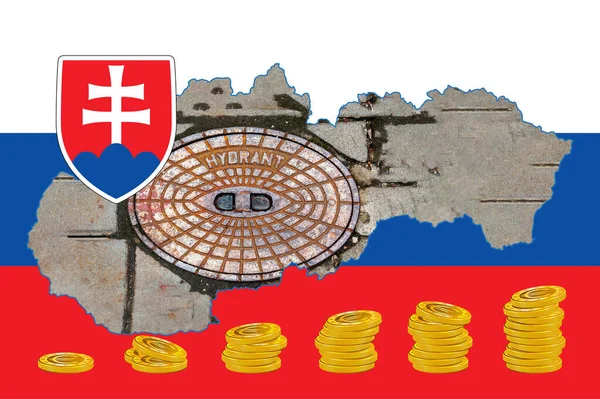 Mapa Contorno Eslováquia Com Imagem Bandeira Nacional Escotilha Para Sistema — Fotografia de Stock