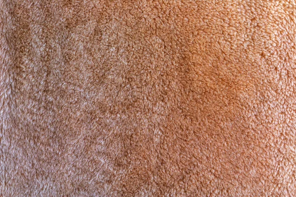 柔らかい毛皮のベージュのカーペットの背景画像 ウール羊のフリースの密接な質感の背景 トップ表示 — ストック写真