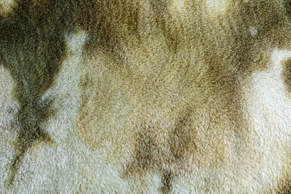 Background Picture Soft Fur Beige Carpet Wool Sheep Fleece Closeup — Stock Fotó