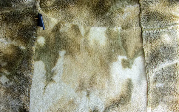 Background picture of a soft fur beige carpet. Wool sheep fleece closeup texture background. Top view.