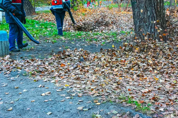 Dělníci Ulici Podzim Sbírají Listí Dmychadlem — Stock fotografie